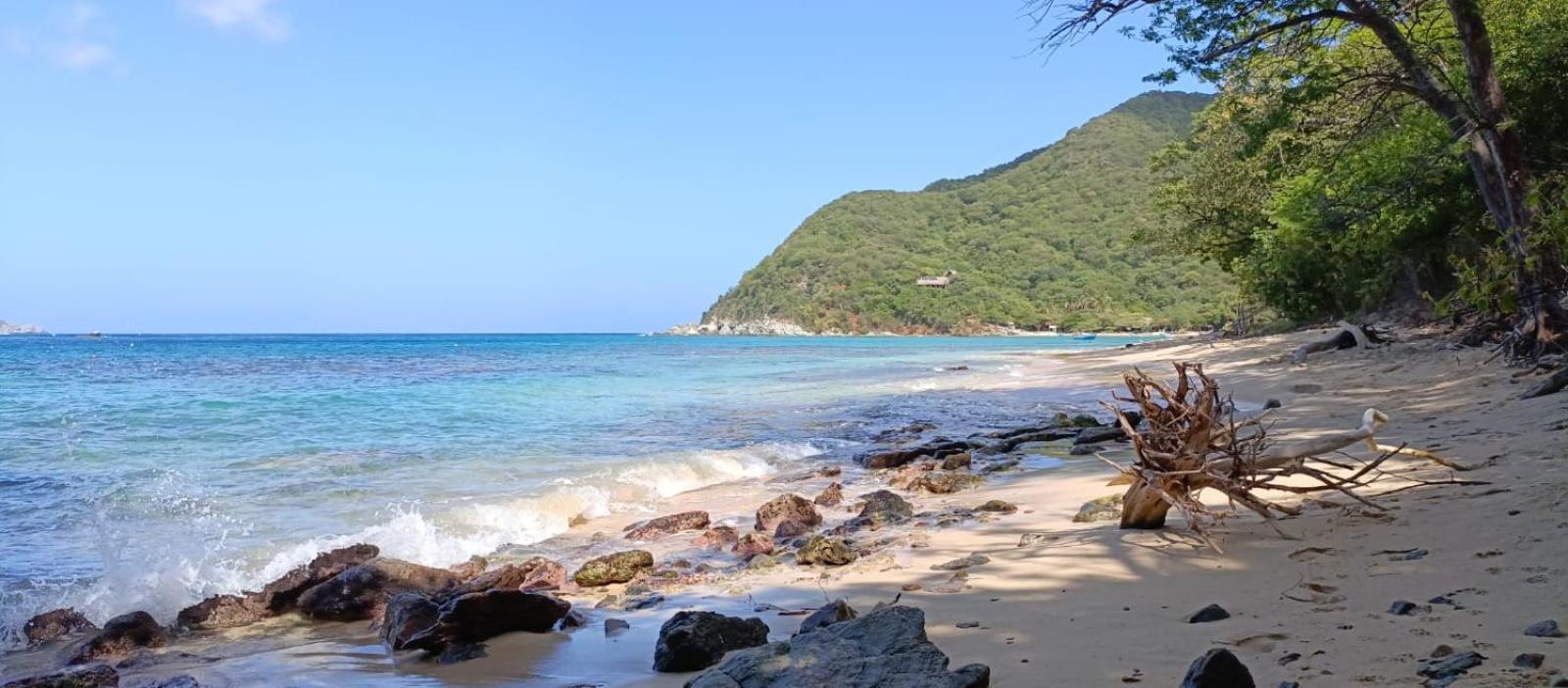 Nenguange Mirador Playa Cristal Tayrona酒店 外观 照片